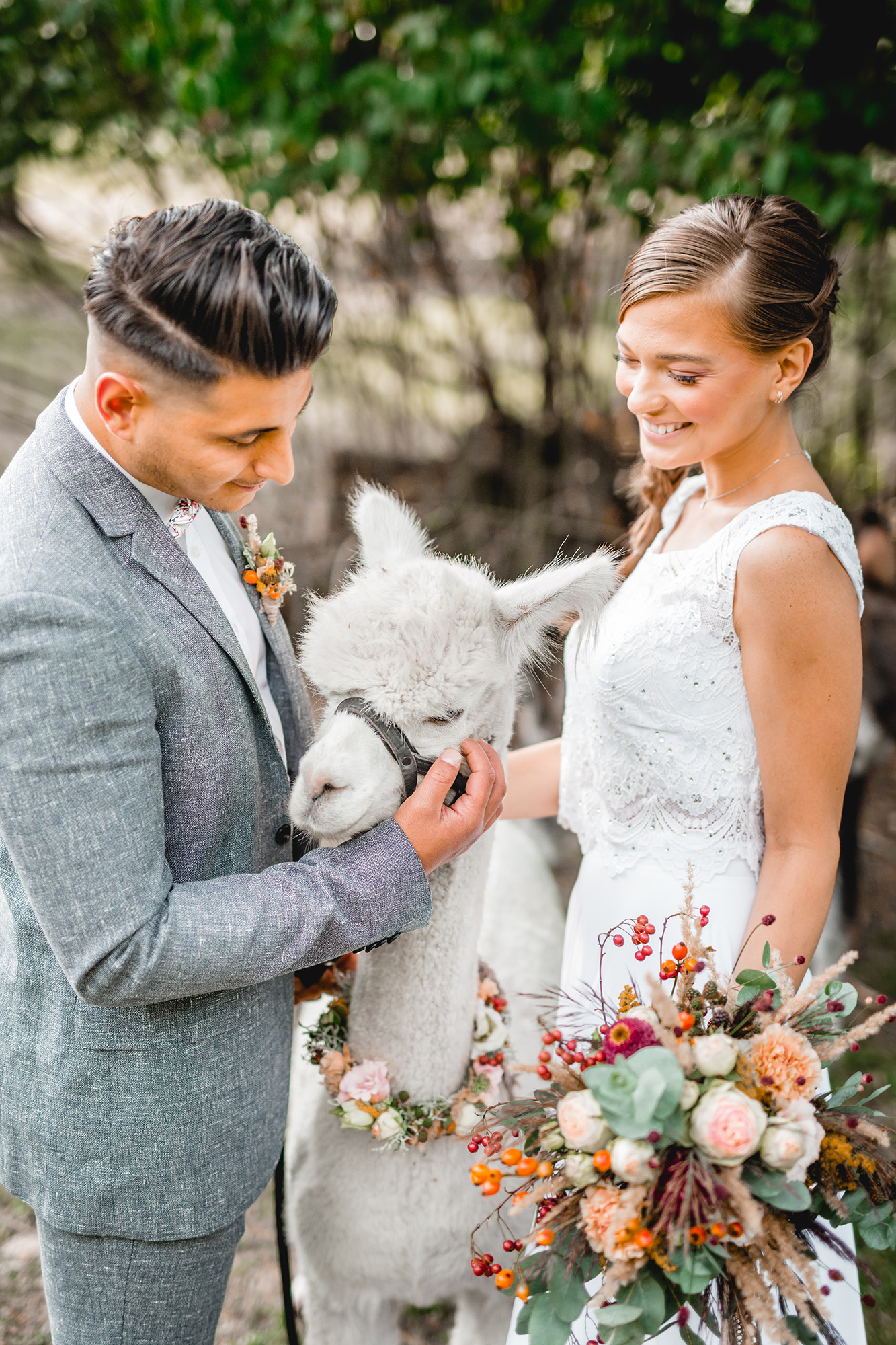 Alpaka Hochzeit