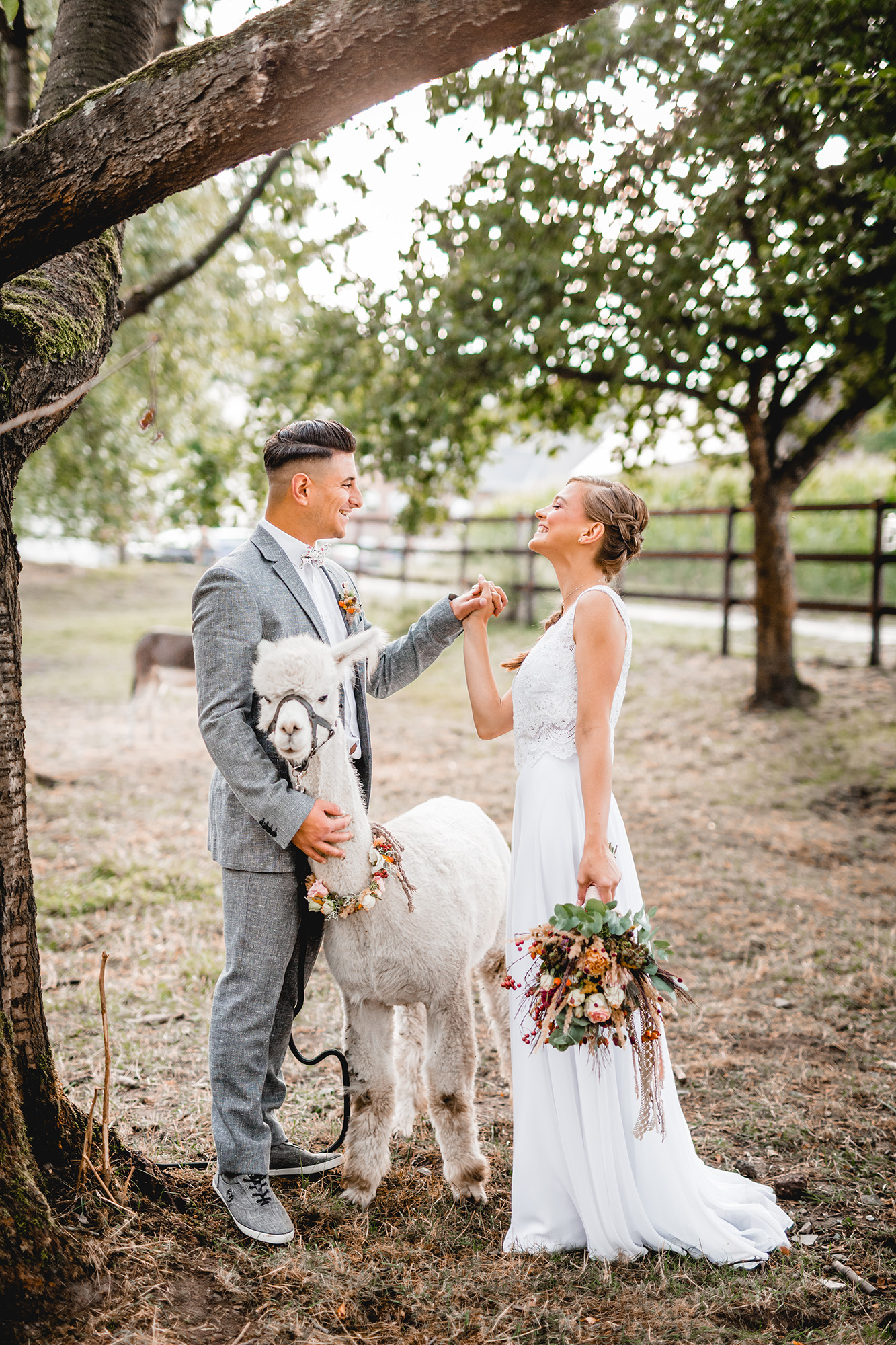 Alpaka Hochzeit