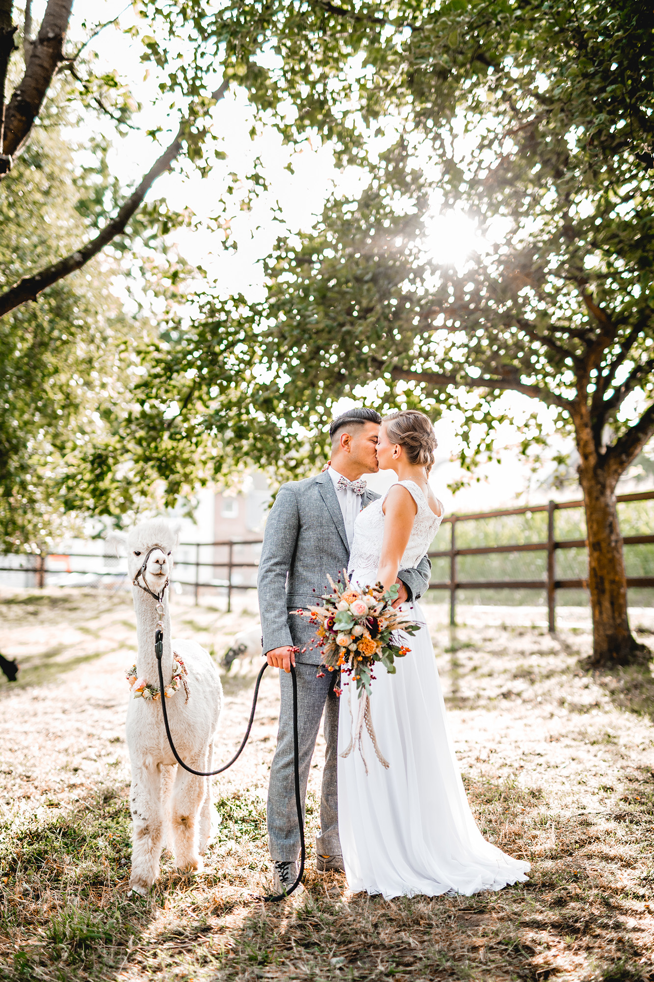 Alpaka Hochzeit