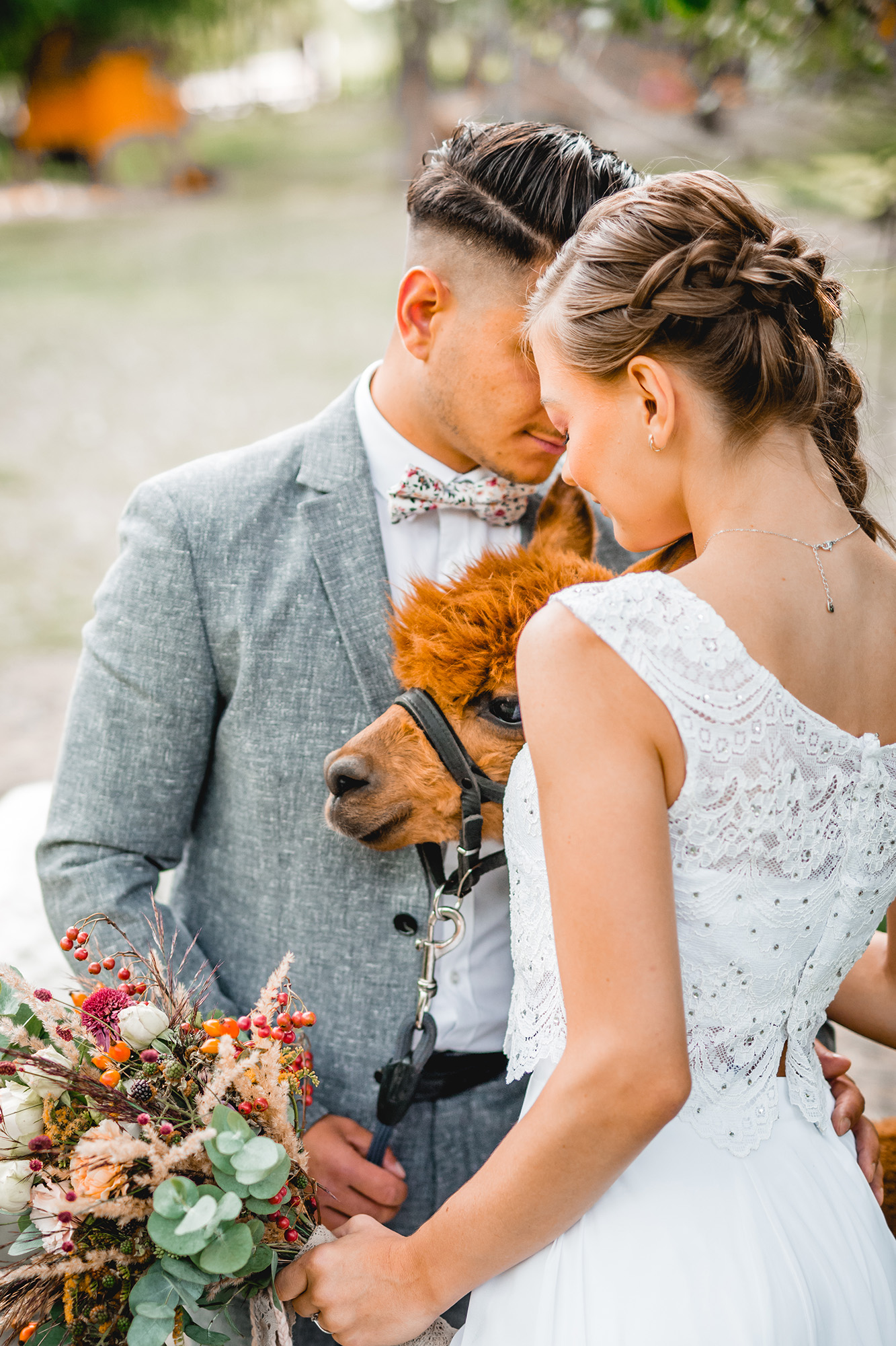 Alpaka Hochzeit